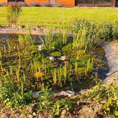 Le Gite Pierre Et Bois Houffalize Exteriör bild