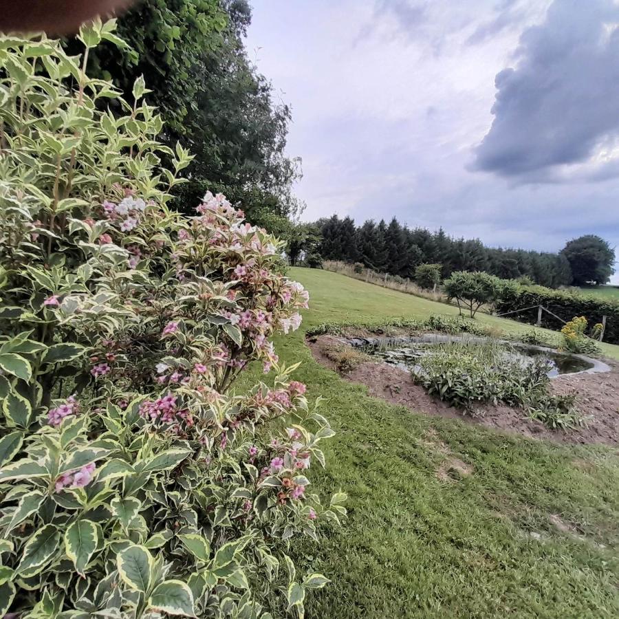 Le Gite Pierre Et Bois Houffalize Exteriör bild
